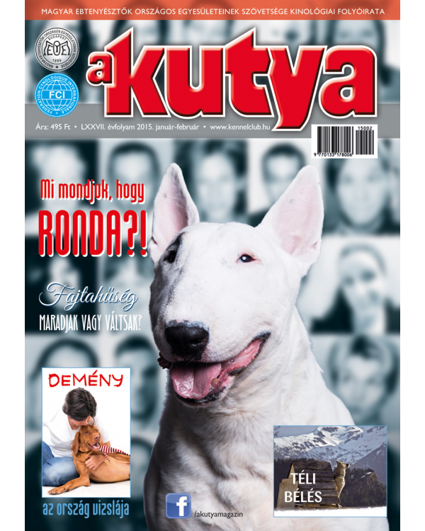 Kutya magazin